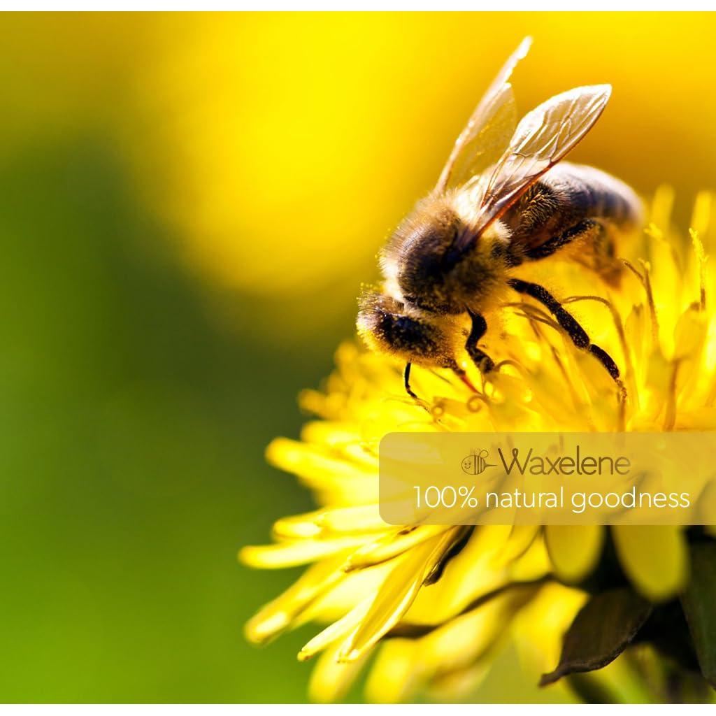 Bálsamo Labial Orgánico Waxelene 8.5g - Hidratante Multifuncional