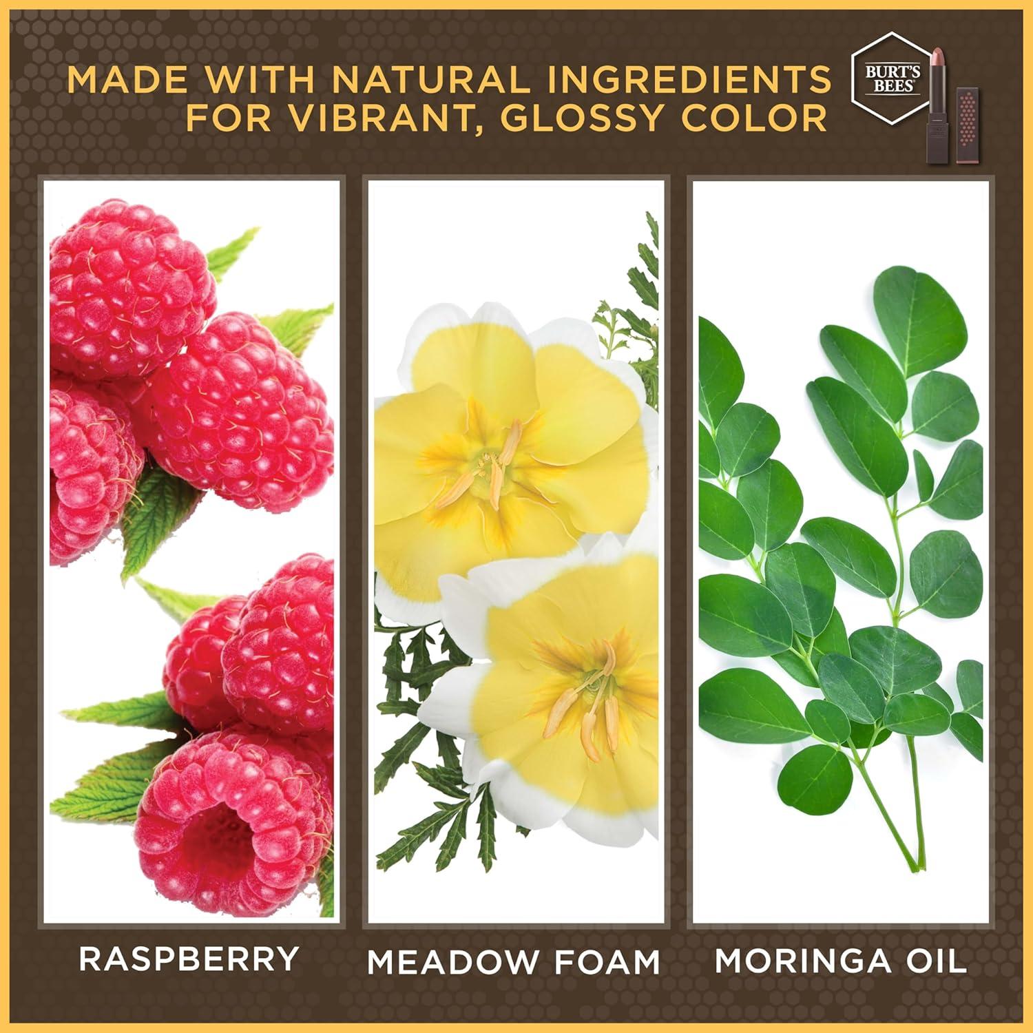 Lápiz Labial Brillante Burt's Bees Nude Mist 1 Tubo 19.5g