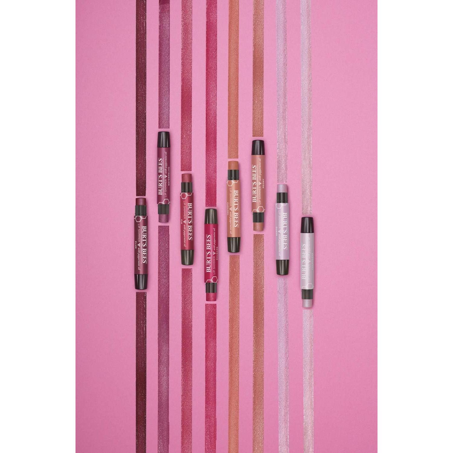 Brillo Labial Hidratante Burt's Bees Guayaba 1 Tubo 7g