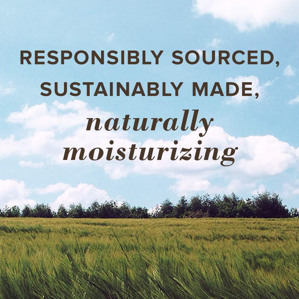 Bálsamo Labial Hidratante Medicado Burts Bees Doble 2x4g