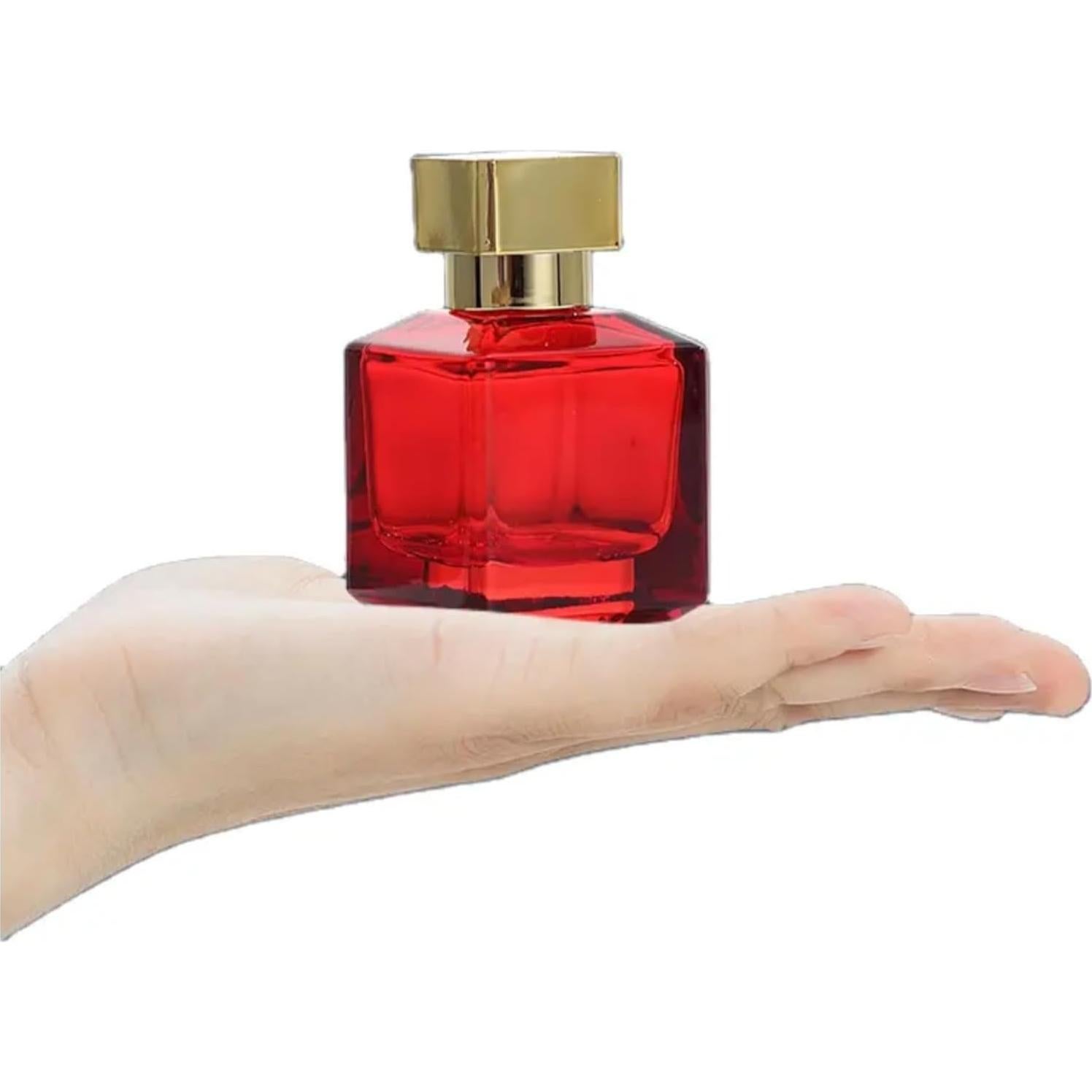 Paquete de 6 Botellas Vacías Reutilizables Equivalence 50ml