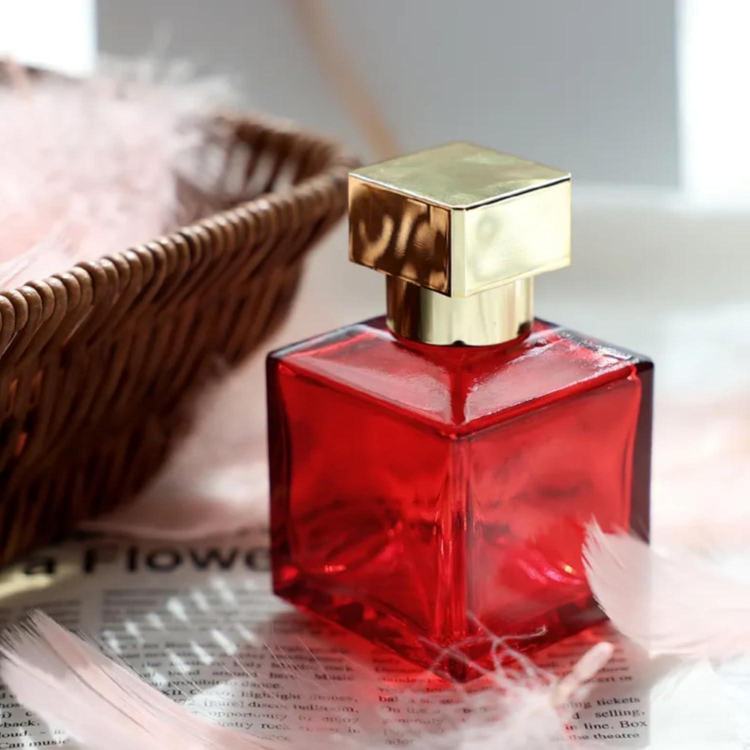 Paquete de 6 Botellas Vacías Reutilizables Equivalence 50ml