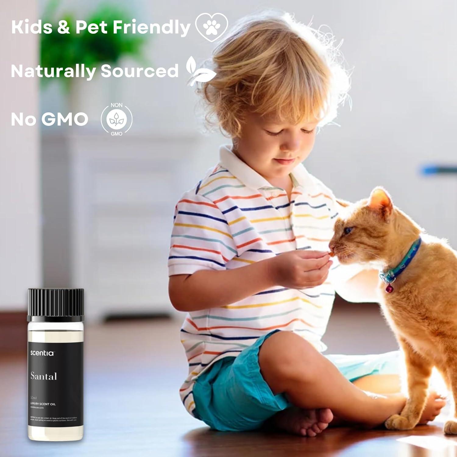 Aceite Difusor de Santal 50ml Scentia - Aroma Duradero