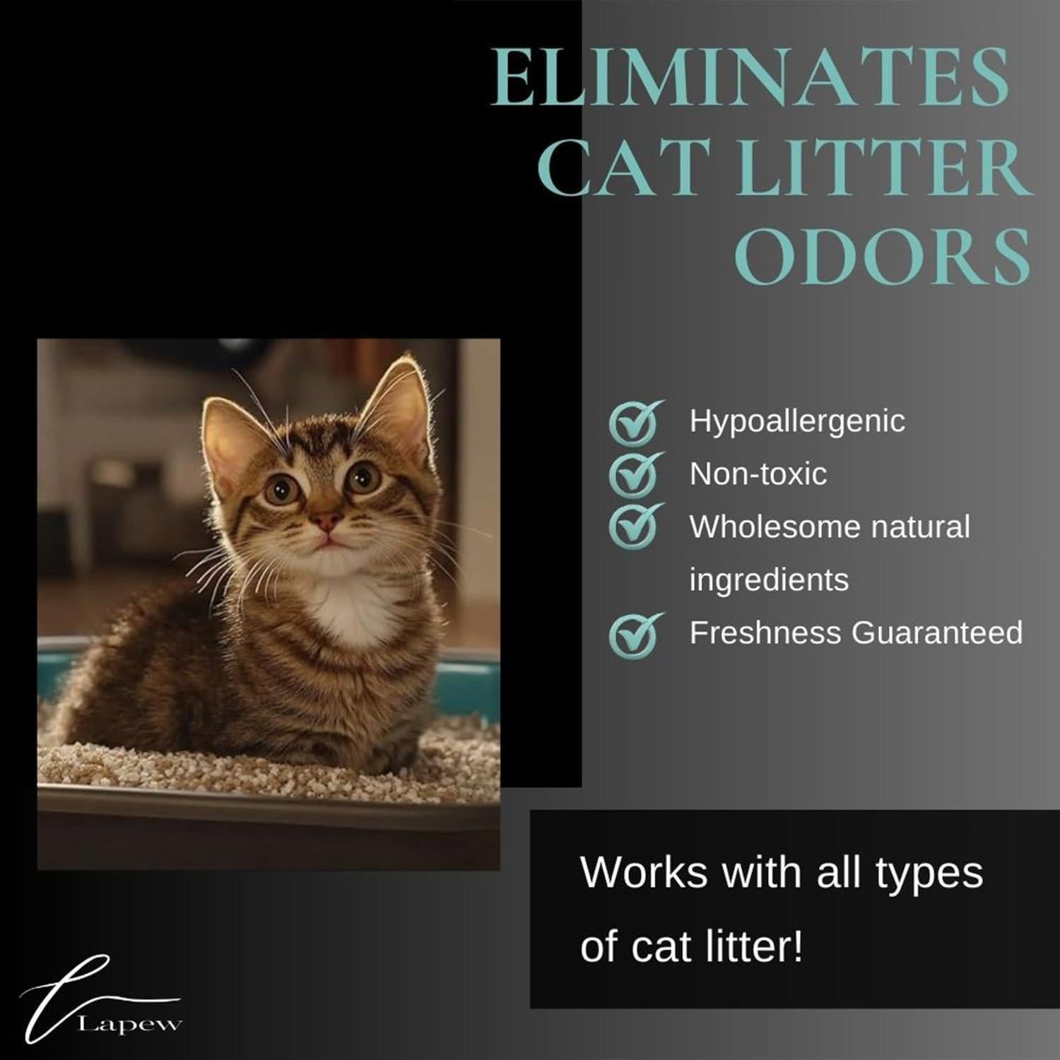 Polvo Desodorante para Alfombras Lapew 450g Her Obsession