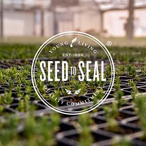 Aceite Esencial de Árbol de Té Young Living 15ml - 100% Puro