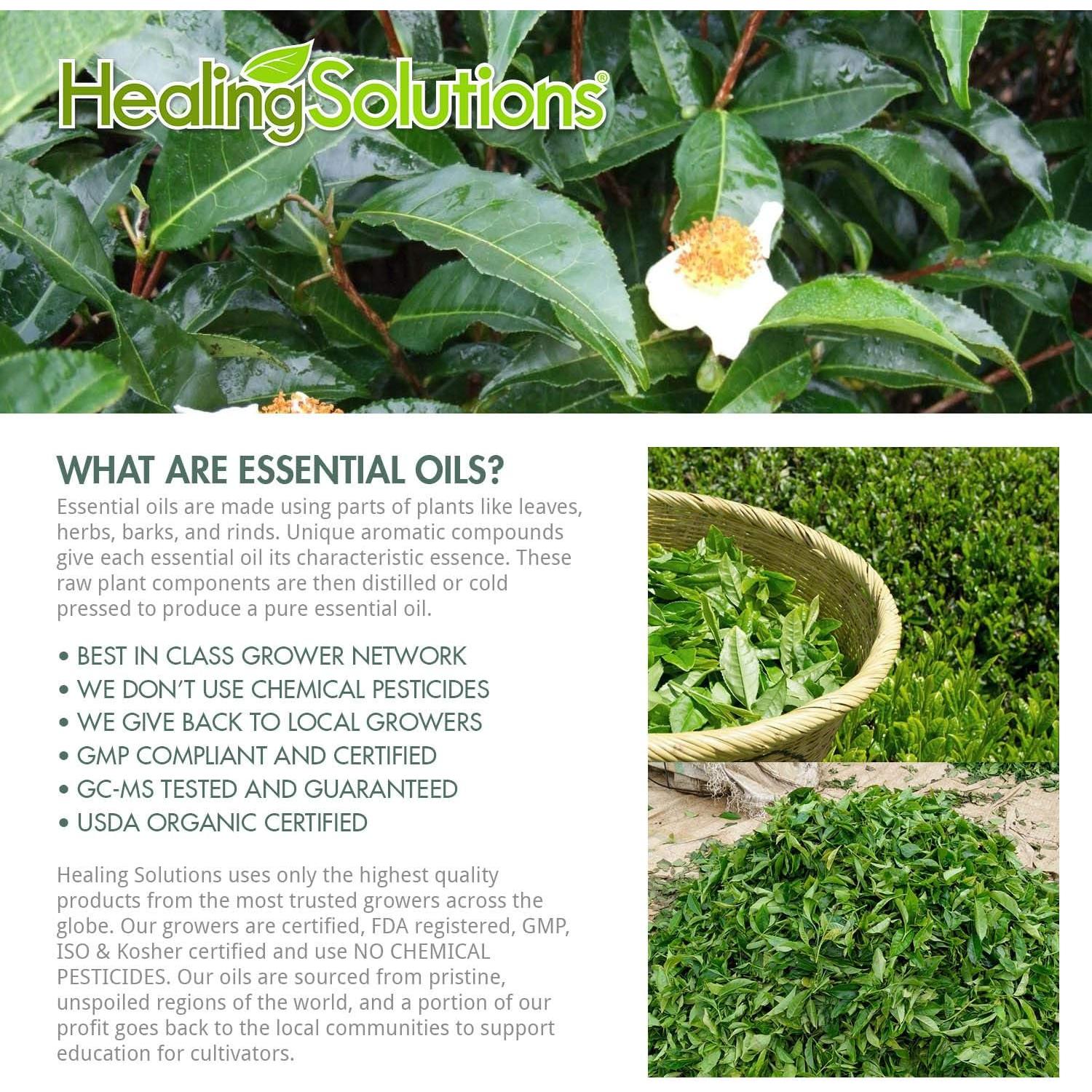 Aceite Esencial de Árbol de Té 60ml Soluciones Curativas