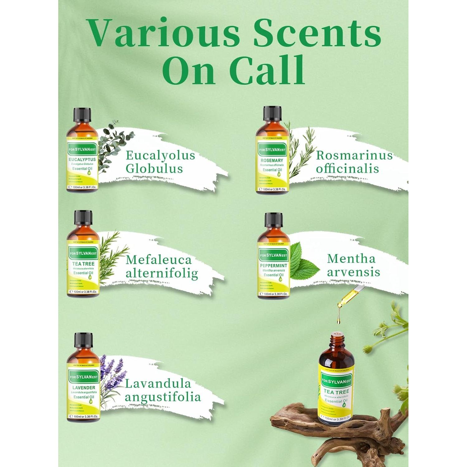 Aceite Esencial de Árbol de Té 100ml FORSYLVANEST Puro Natural