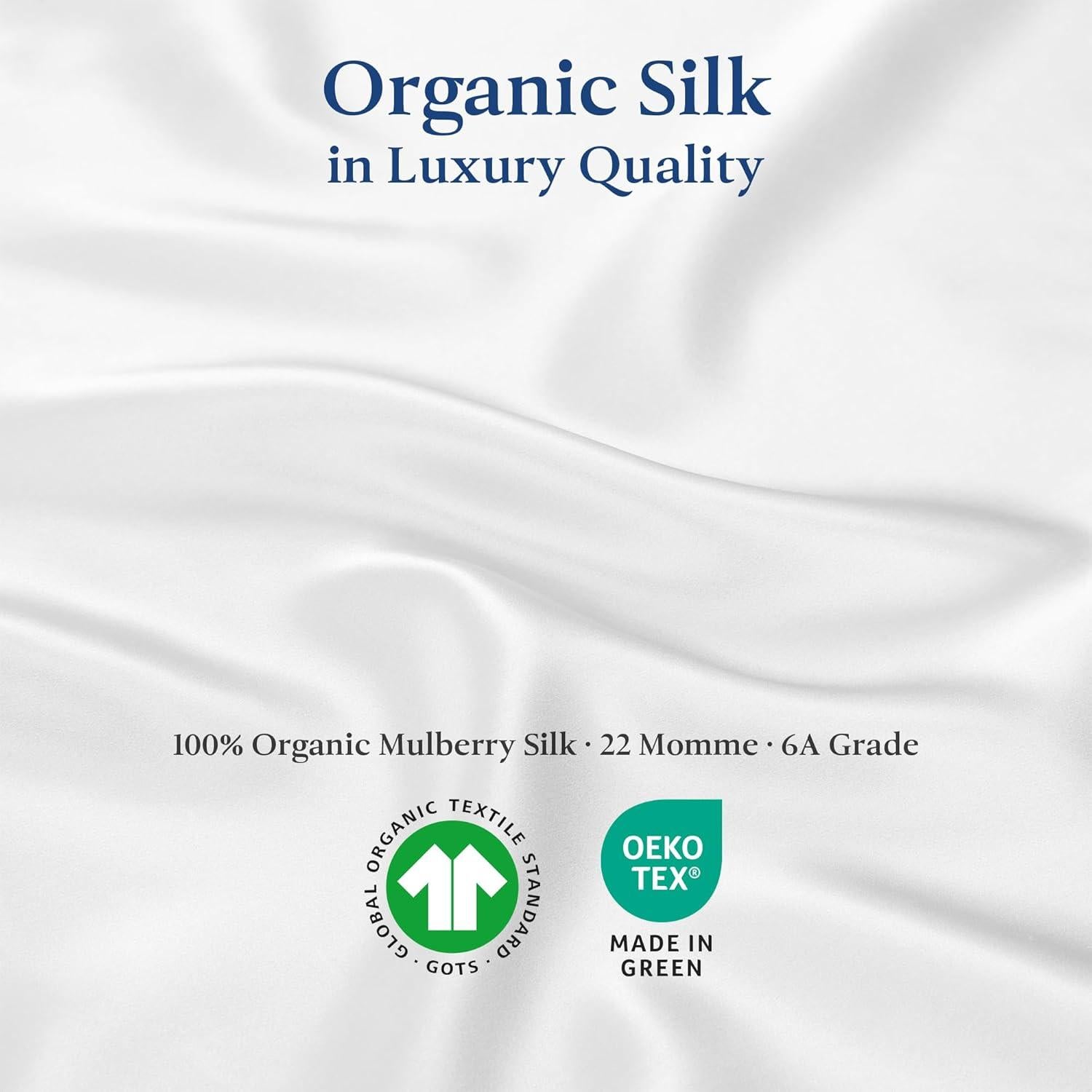 Premium Silk Pillowcase 100% Organic Mulberry Silk, 22 Momme, Grade 6A - Oeko-Tex Certified in Germany - Luxury for Hair & Skin, 1 Piece (Standard Size 20x26 Inches, Natural Silk Off-White)