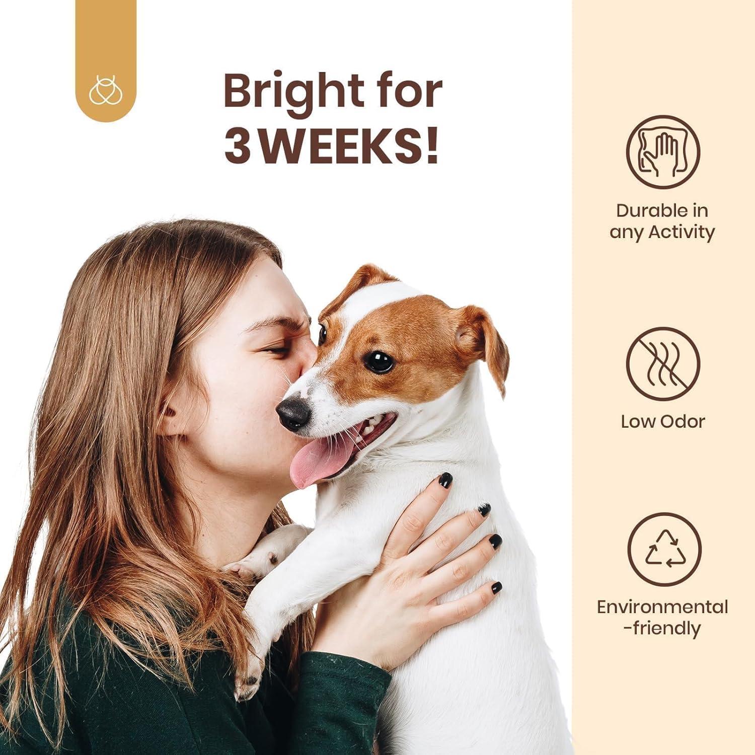 Esmalte de Gel Beetles Otoño 5 Colores Marrón y Blooming