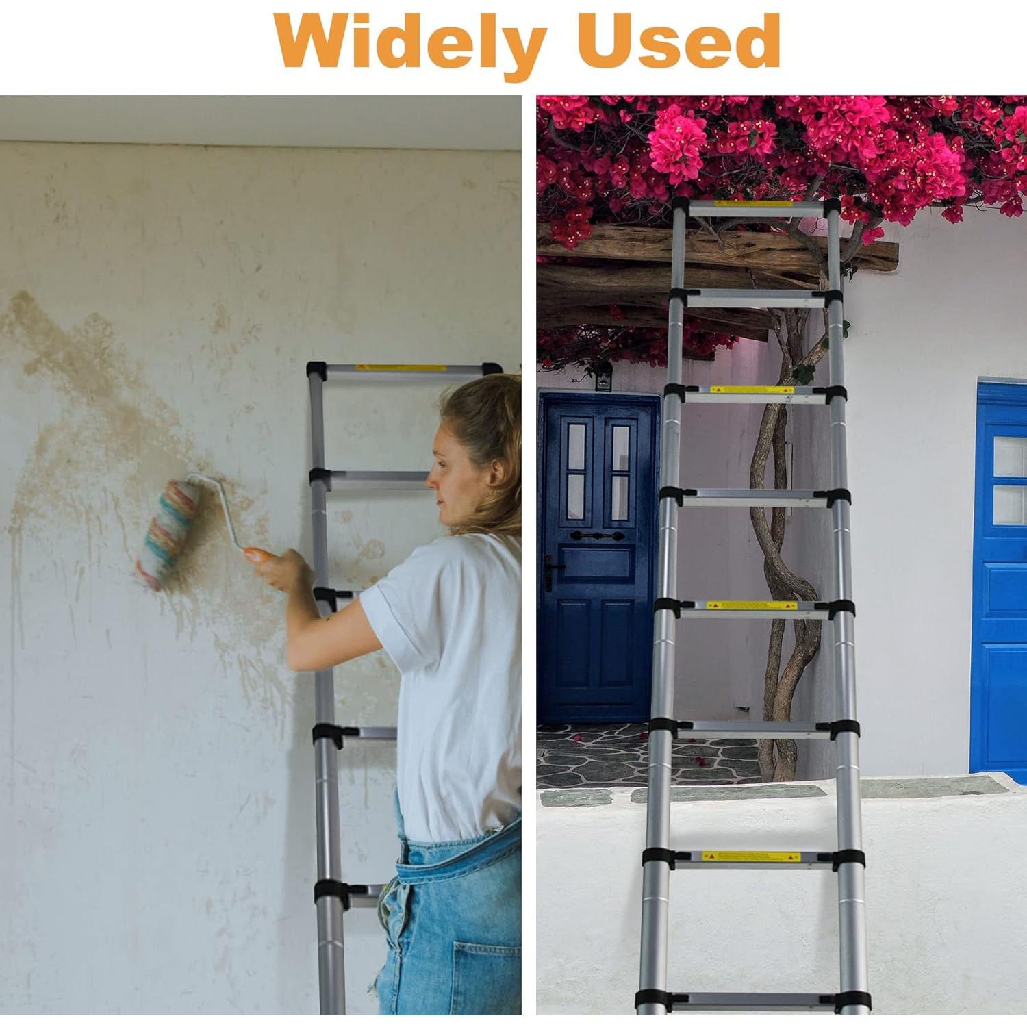 Escalera Telescópica LiGuVCY 4.4 m Ajustable Aluminio