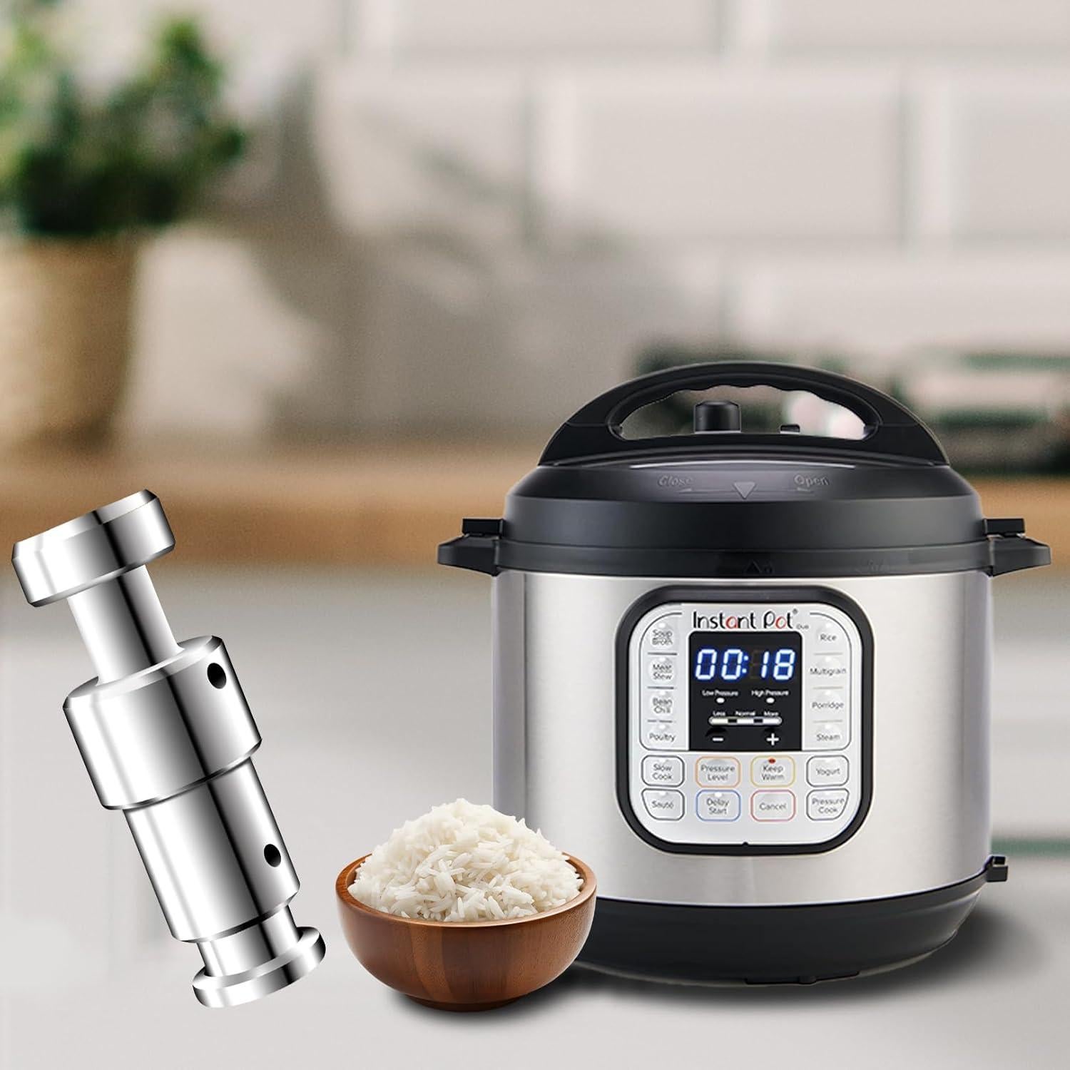 Piezas de Repuesto Olla a Presión ZLR - Válvulas y Tapas Silicona