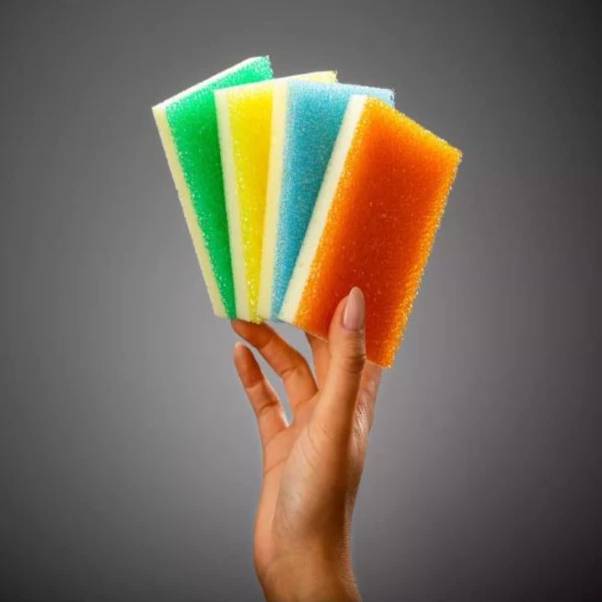 Conjunto de 4 Esponjas Sponge Daddy Duraderas