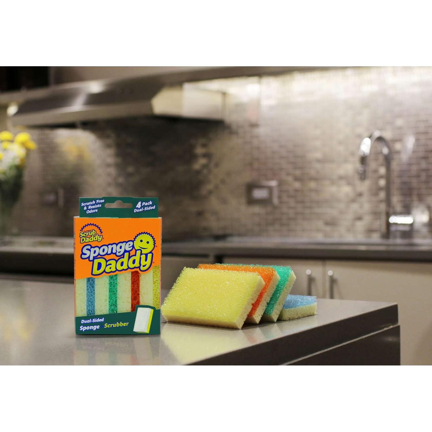 Conjunto de 4 Esponjas Sponge Daddy Duraderas