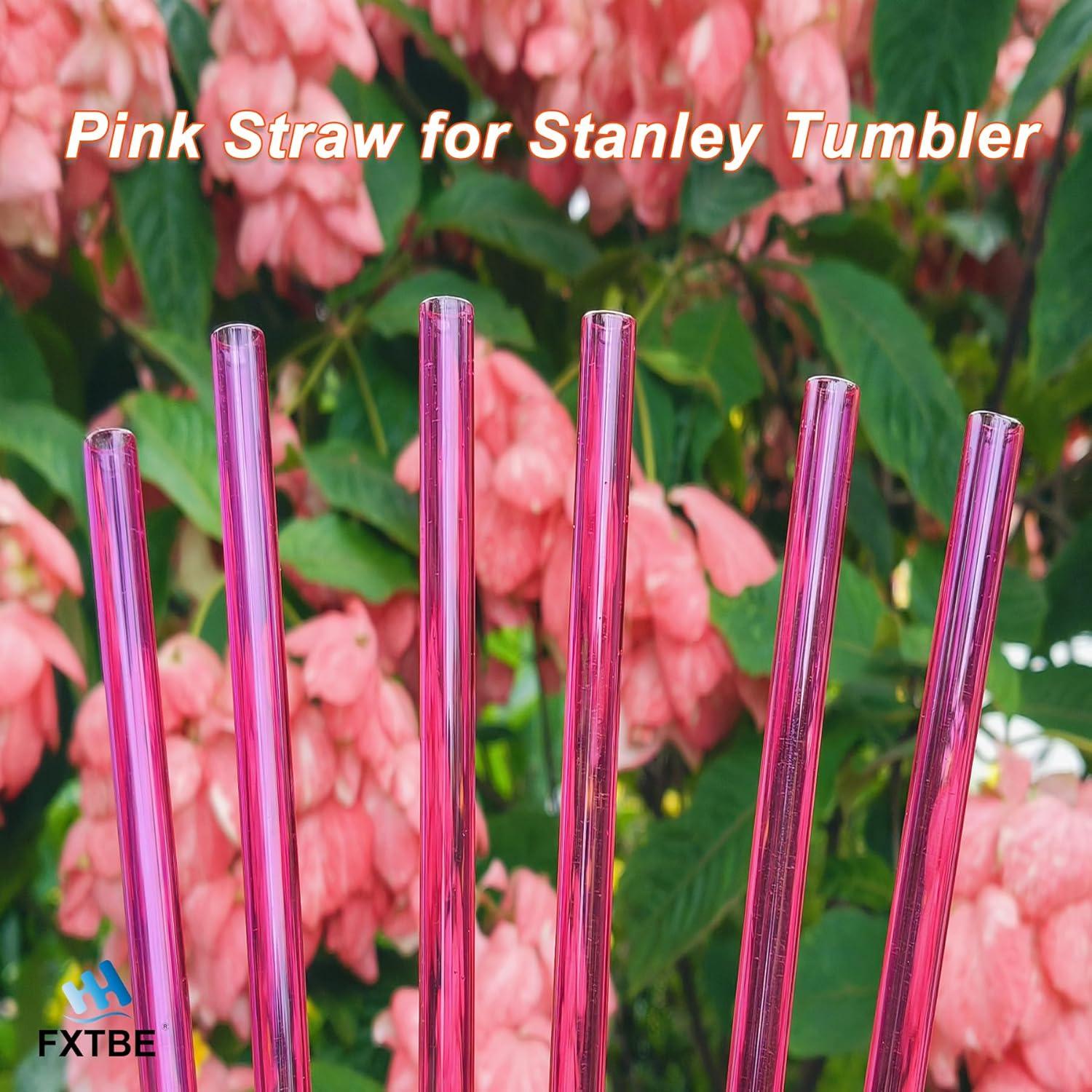 Paquete de 6 Popotes Reutilizables Rosa FXTBE para Taza Stanley 40 oz