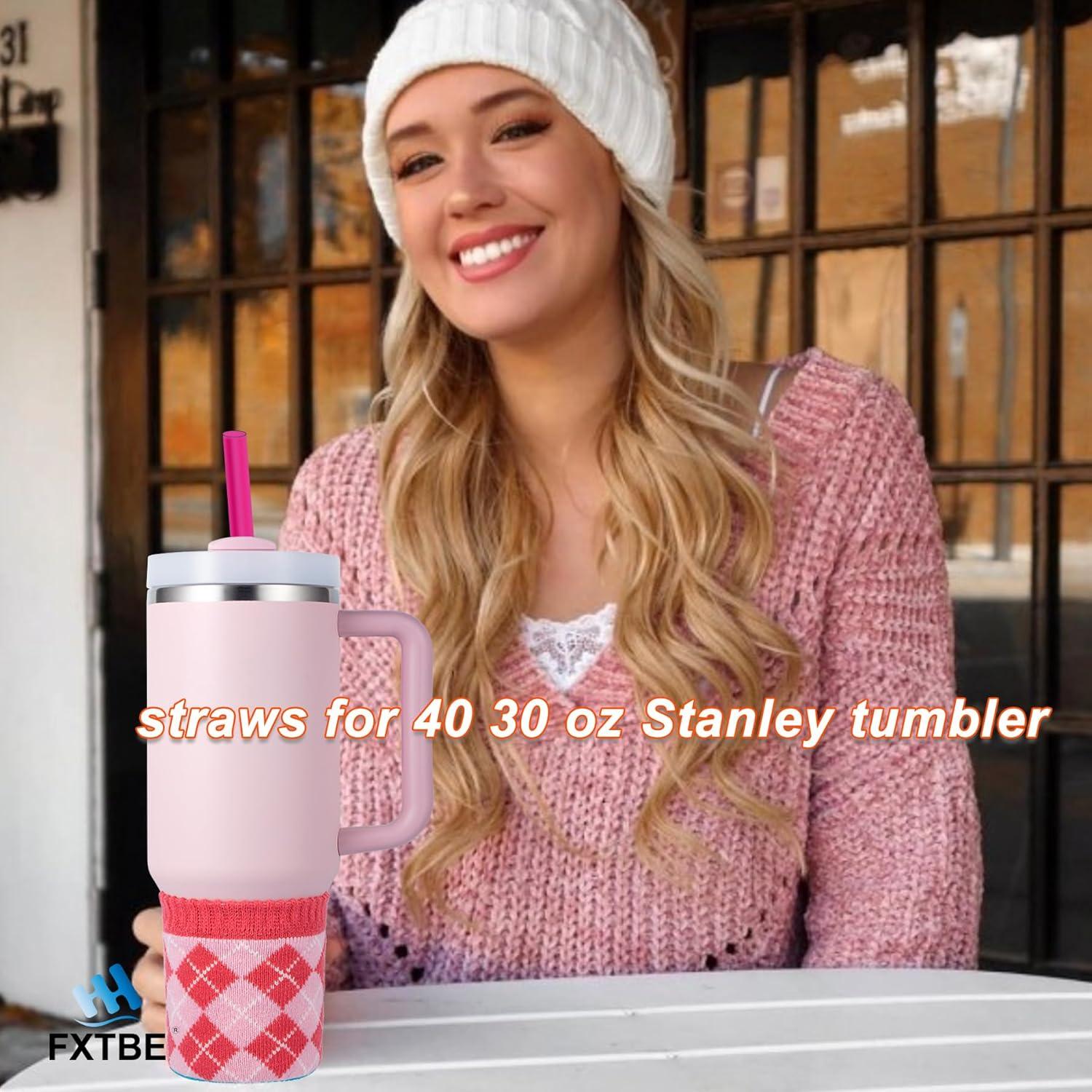 Paquete de 6 Popotes Reutilizables Rosa FXTBE para Taza Stanley 40 oz