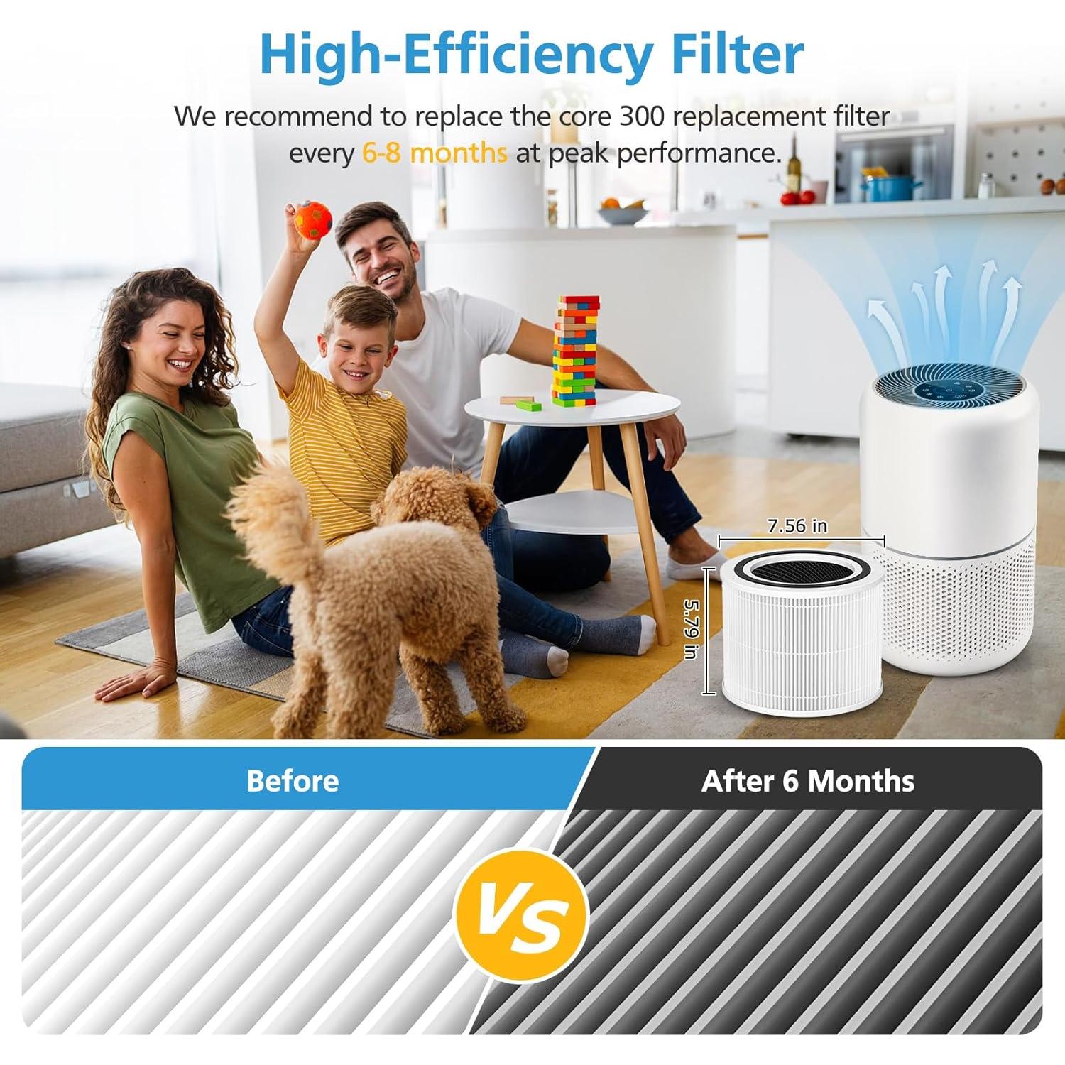 Paquete de 2 Filtros de Reemplazo HEPA iSingo Core 300