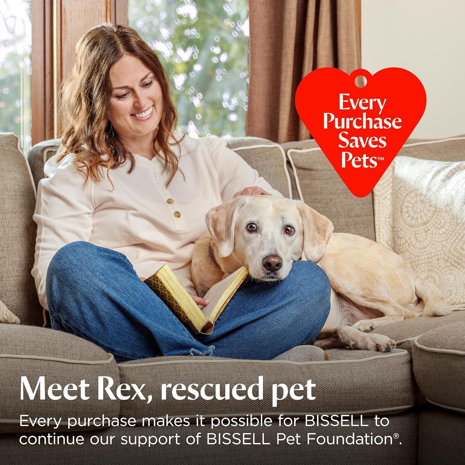 Fórmula de Limpieza Super Concentrada BISSELL Little Green 6 Bolsas