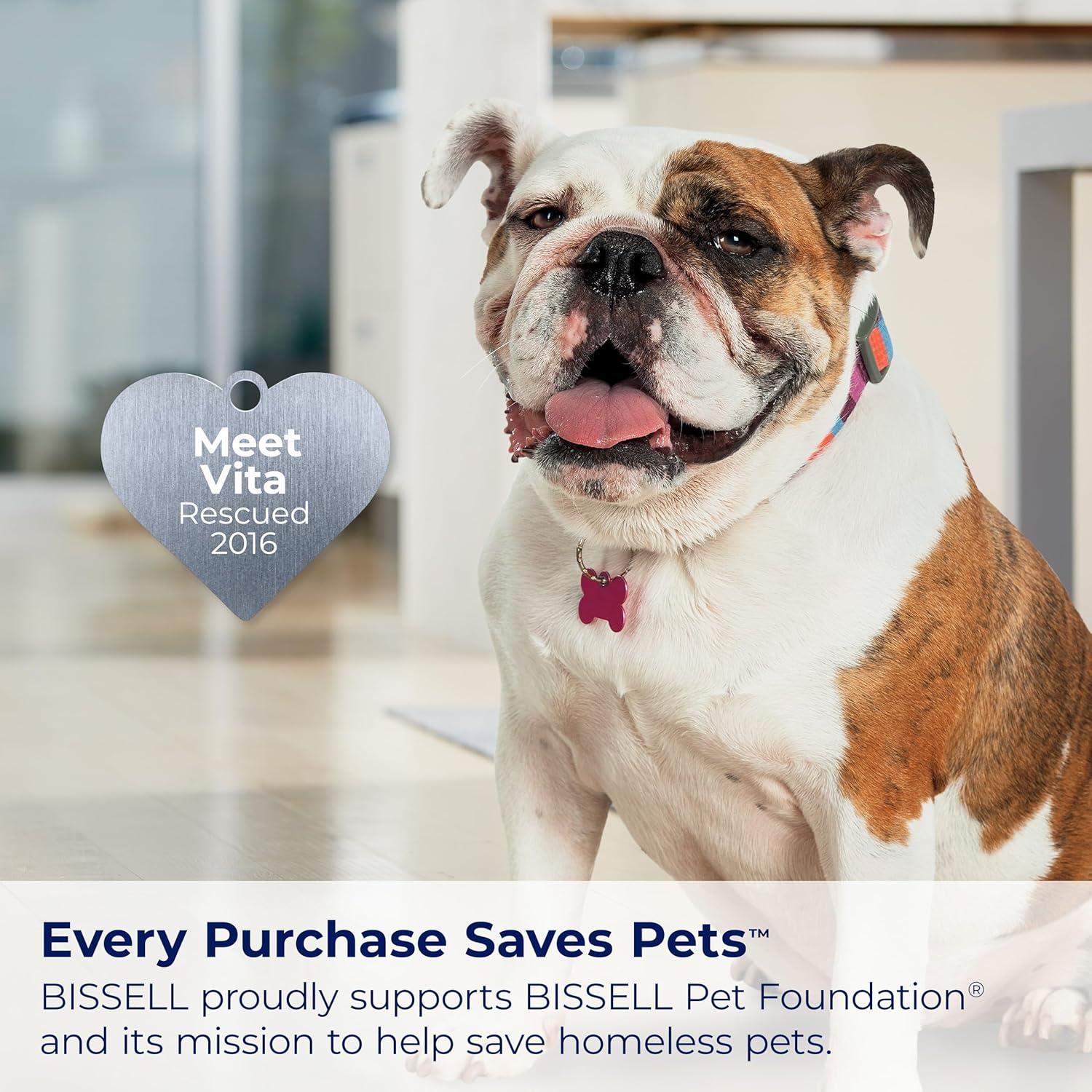 Limpiador de alfombras portátil Bissell SpotClean Pet Pro 2458