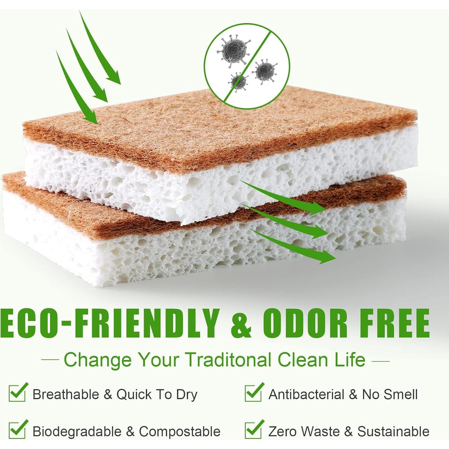 Esponjas de Cocina Ecológicas PANYEE - 12 Unidades Biodegradables