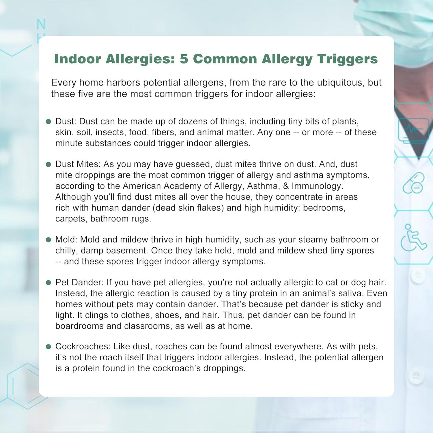 Aspiradora Bahuun L1 con Luz LED para Polvo y Pelo Mascotas