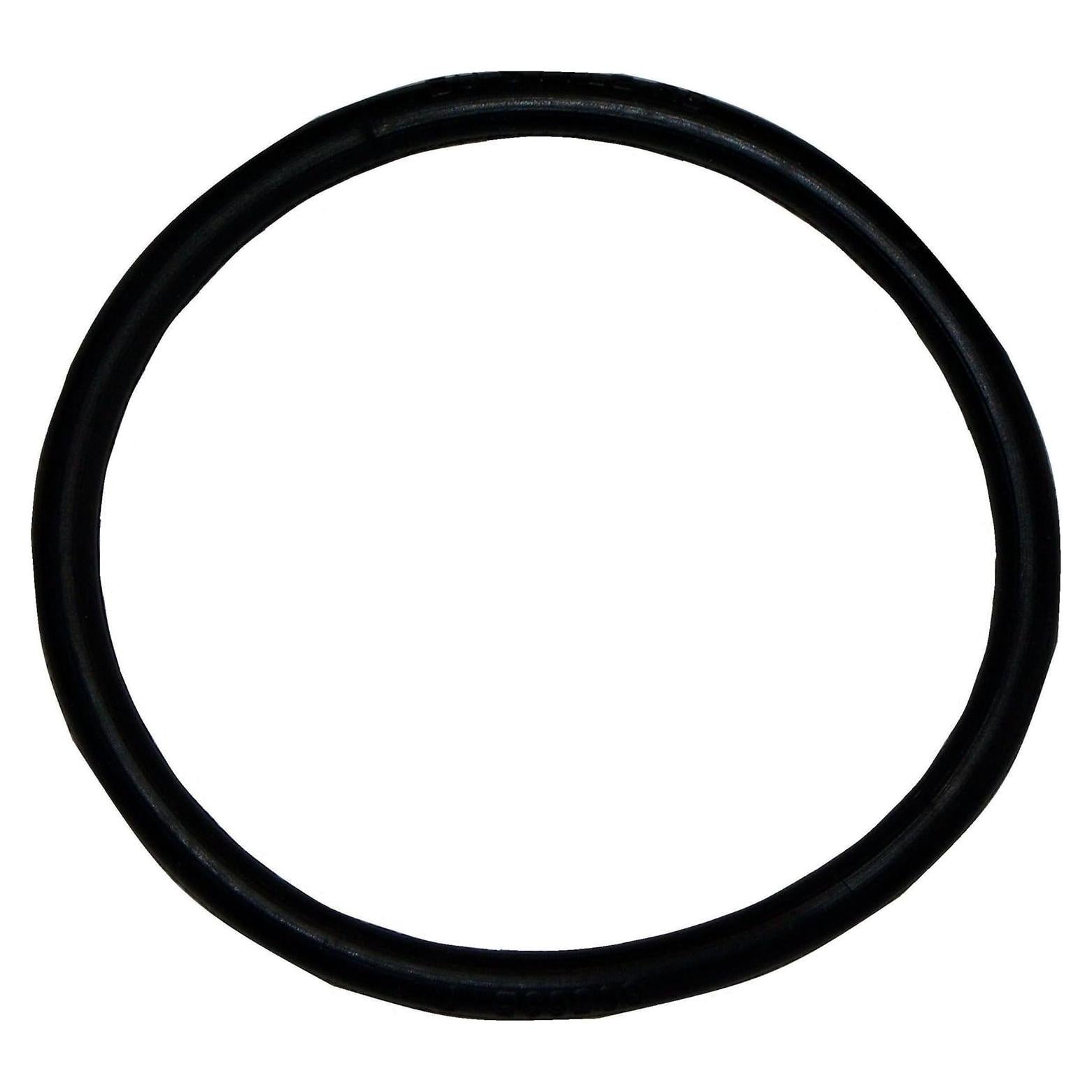 Correa Bissell BigGreen BGOR-23 para BG100 BG101 BG102