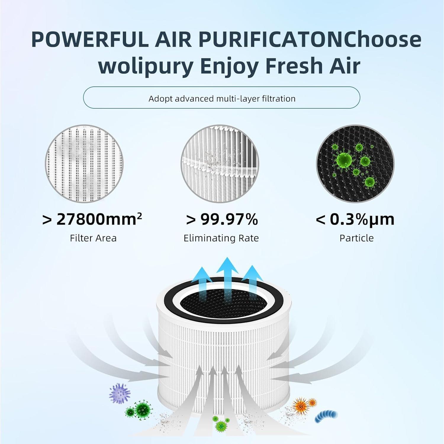 Filtro de Reemplazo H13 True HEPA Wolipury para Purificador LEVOIT Core 300