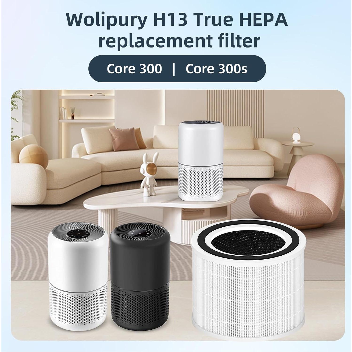 Filtro de Reemplazo H13 True HEPA Wolipury para Purificador LEVOIT Core 300