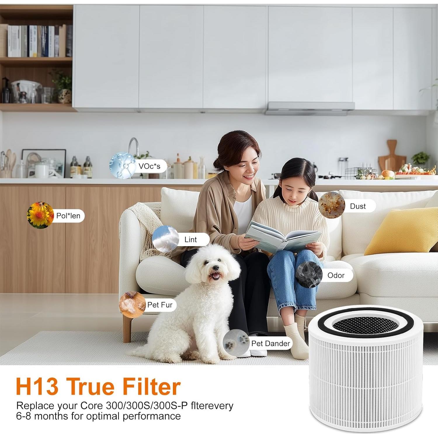 Filtro de Reemplazo 2PCS Doifyn Core 300 para Purificador de Aire