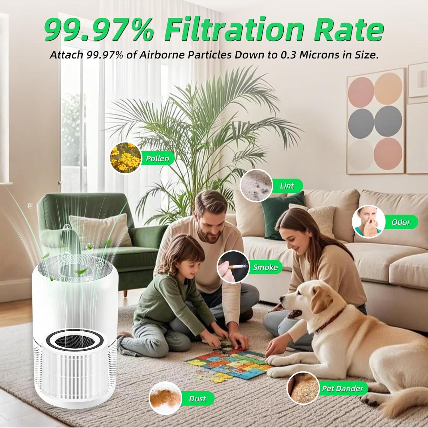 Filtro de Reemplazo MOGUIMAX para Purificador Levoit Core 300