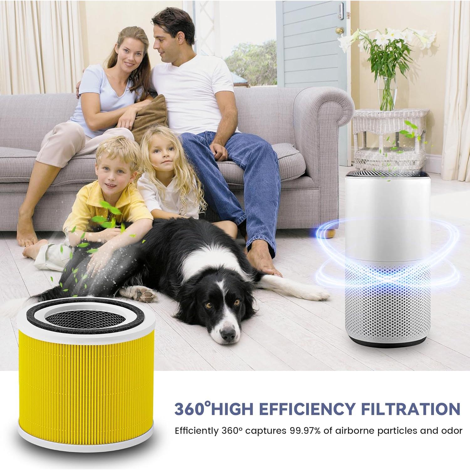 Paquete de 2 Filtros de Reemplazo XTPOINT Core 300 H13