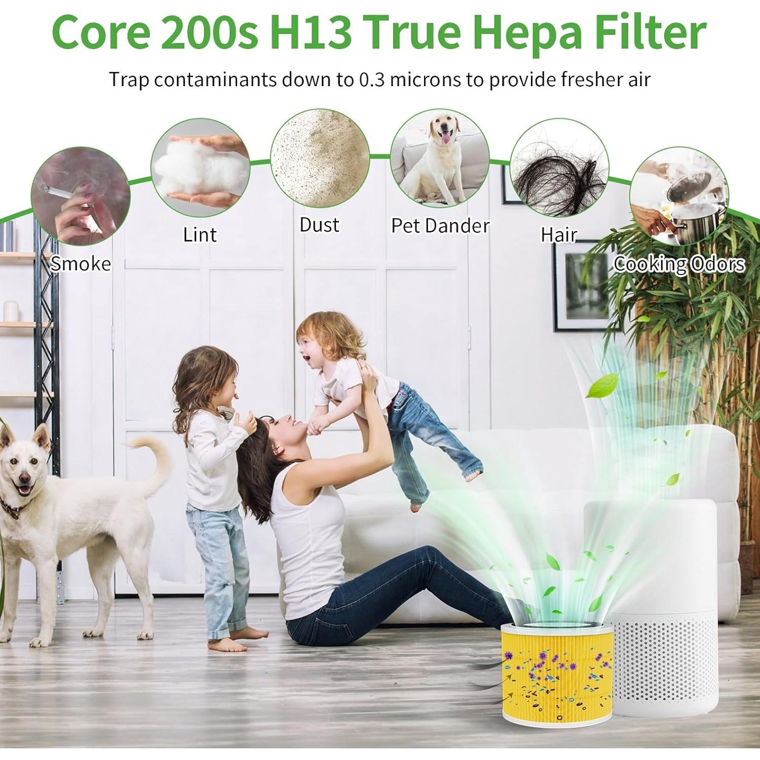 Filtro de Reemplazo HEPA H13 Mokchance Core 200S 1 Paquete