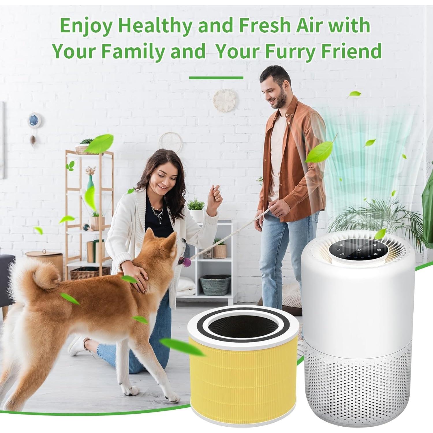 Filtro de Reemplazo HEPA H13 Mokchance Core 200S 1 Paquete