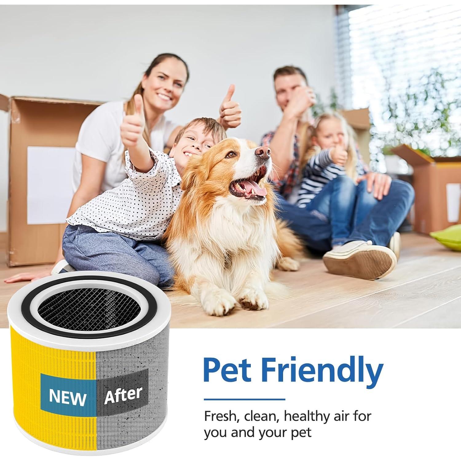 Filtro de Reemplazo HEPA JORAIR Core 200S-RF Paquete de 2