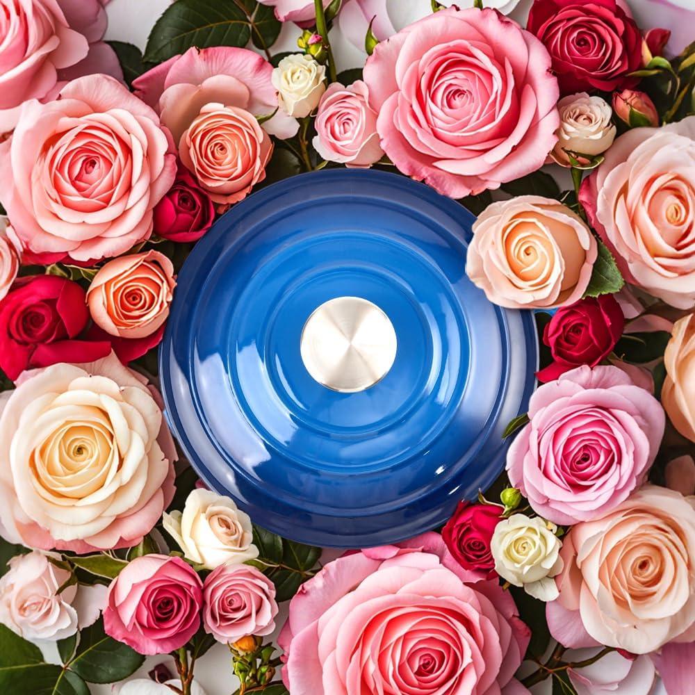 Olla de Hierro Fundido Enameleda Alathote 6L Azul Redonda