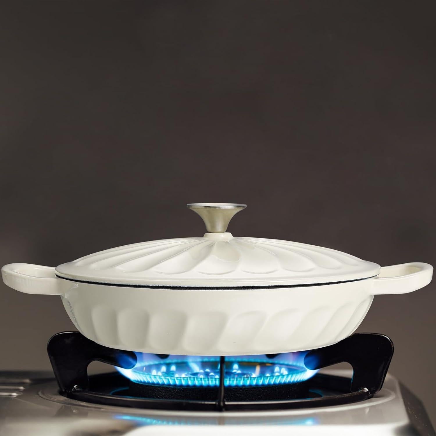 Braiser de Hierro Fundido Enameled NSIRONS 3.8 QT Blanco