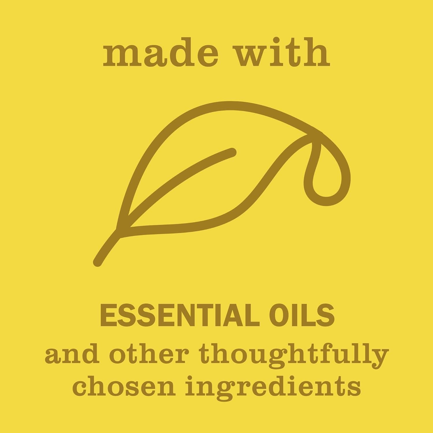 Limpiador Multiusos en Spray Mrs. Meyer Margarita 473 ml - Paquete de 3