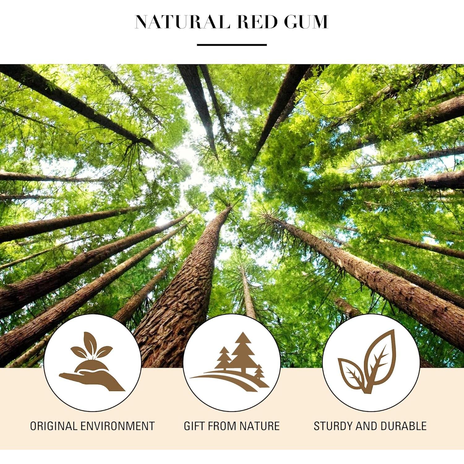 Cepillo de Pelo de Bambú GAVIVOL Antifrizz y Desenredante