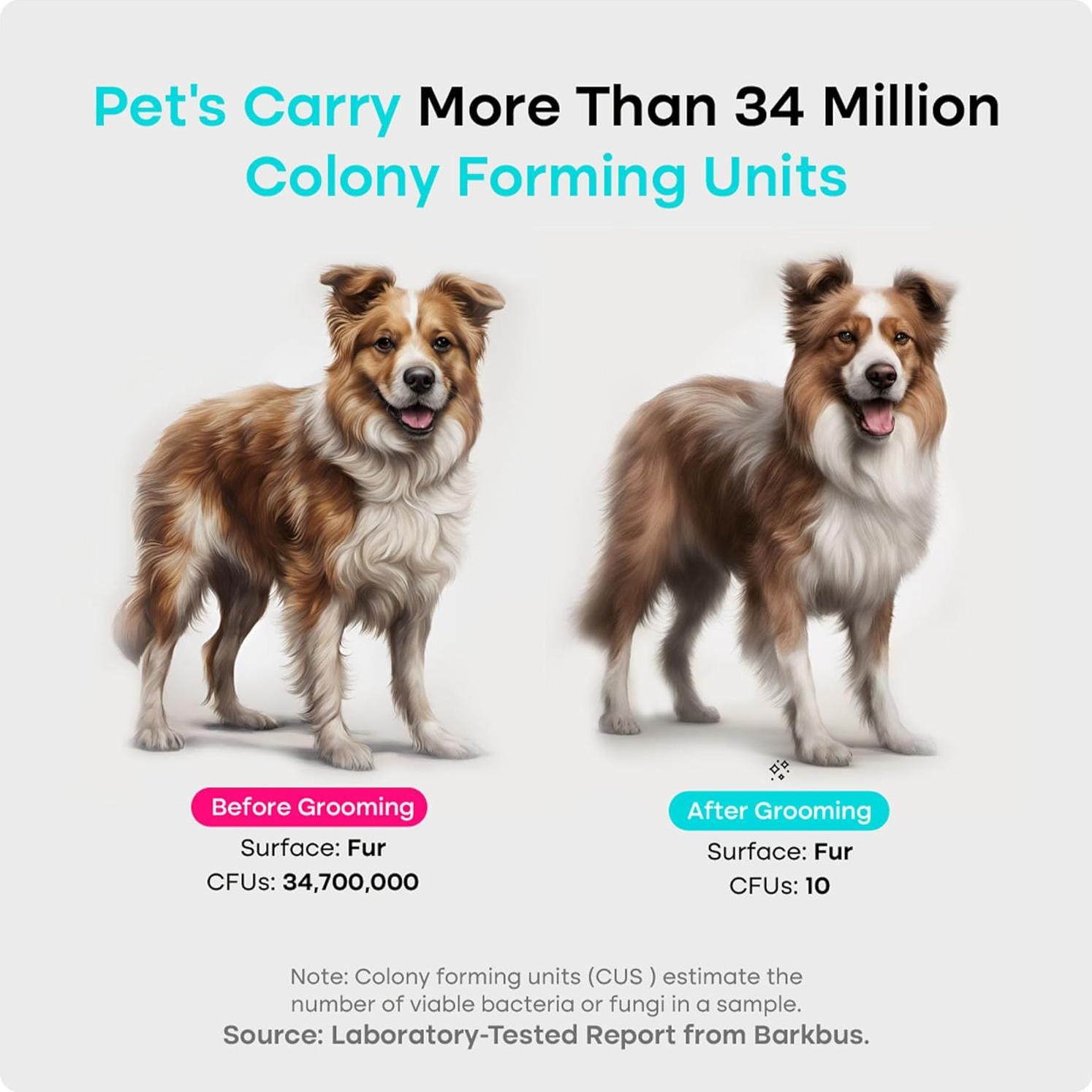 Kit de Aspiradora Uproot Clean 7 en 1 para Aseo de Mascotas