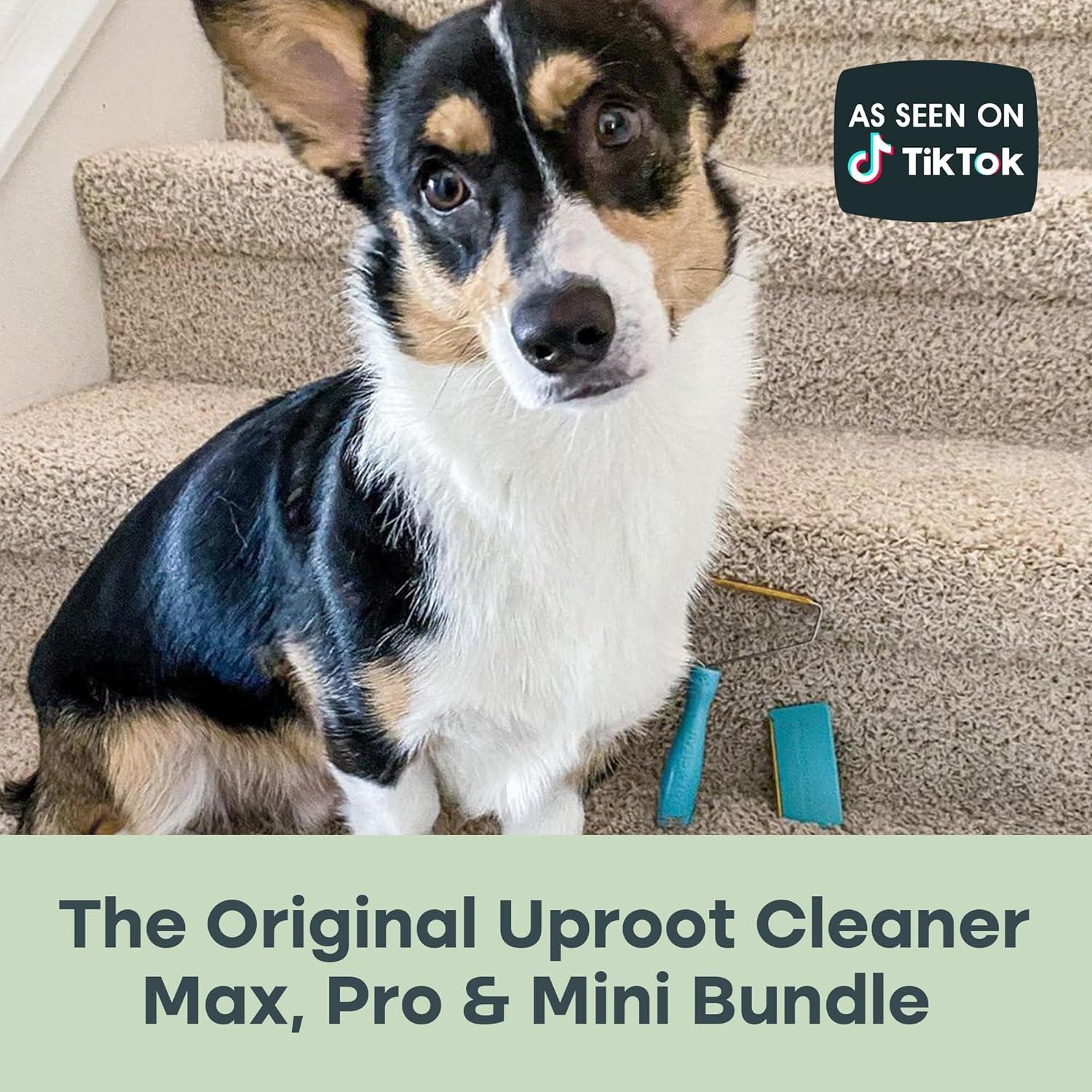 Kit Quitapelos Uproot Pro Mini Max - Herramienta para Mascotas