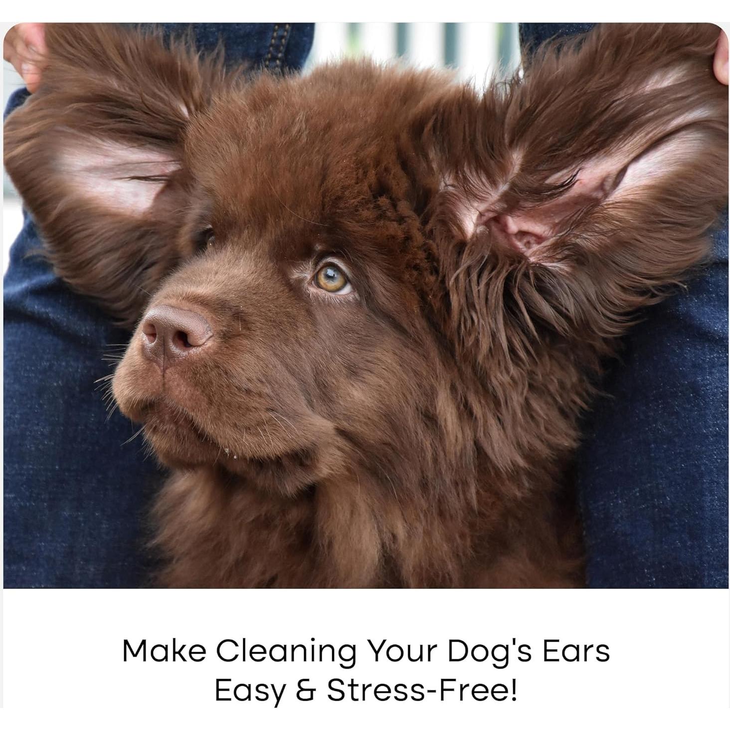 Toallitas Limpiadoras de Oídos Uproot Clean para Mascotas 50ct