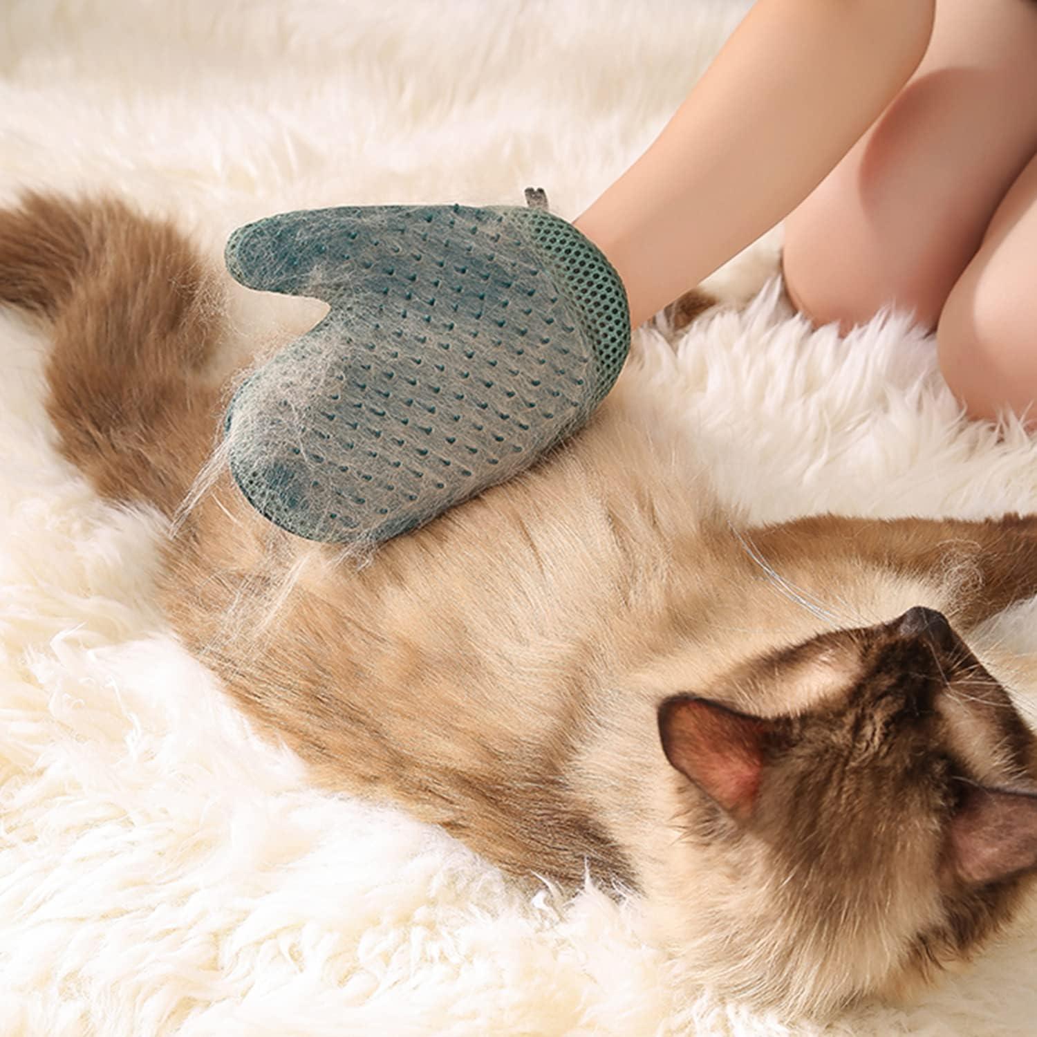 Guante de Aseo para Mascotas Mollypaws 2 en 1 Azul