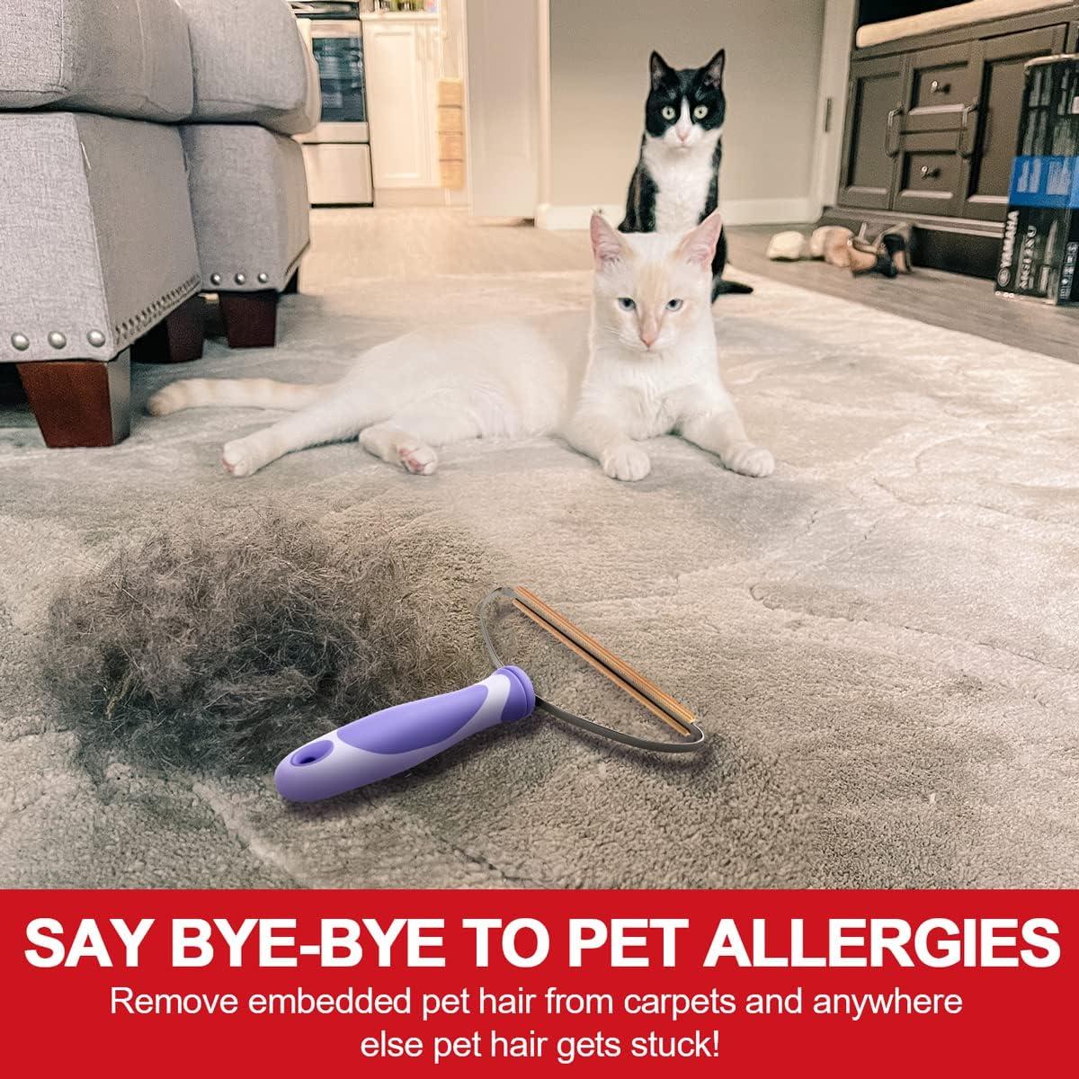 Removedor de Pelo de Mascota Elemsy 2-Pack - Limpieza Efectiva