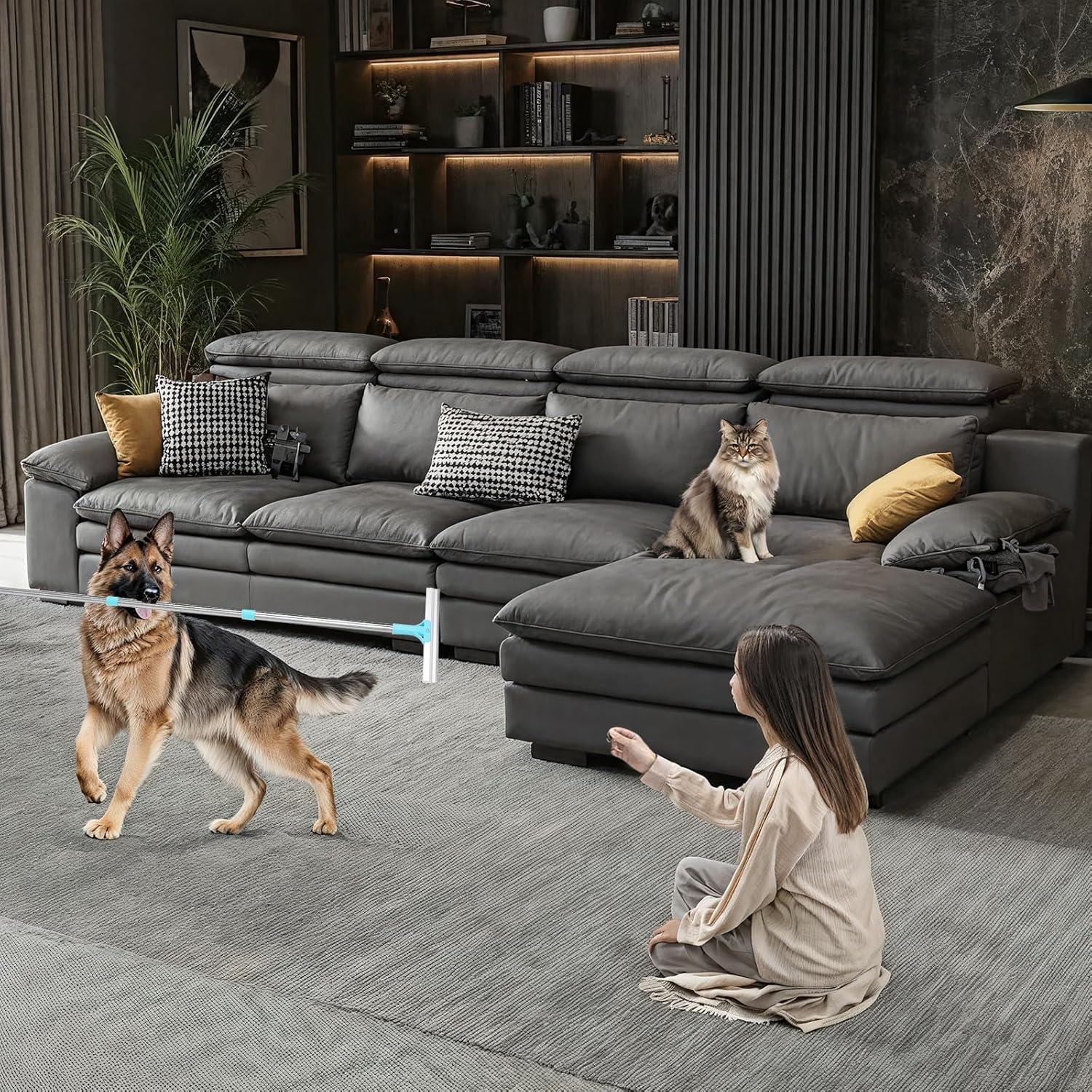 Rastrillo para Alfombras Thechosenone 54" Ajustable Pelo Mascotas