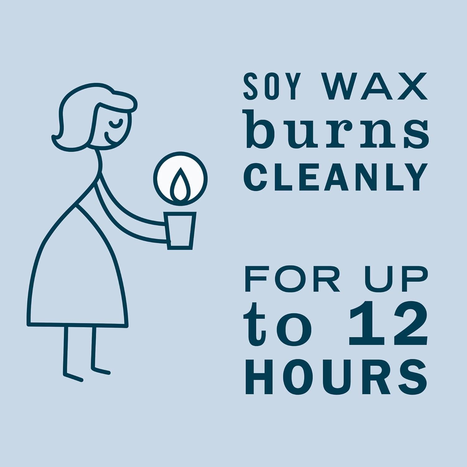 Vela de Lata de Soja Mrs. Meyer's Campanilla de Nieve 82g