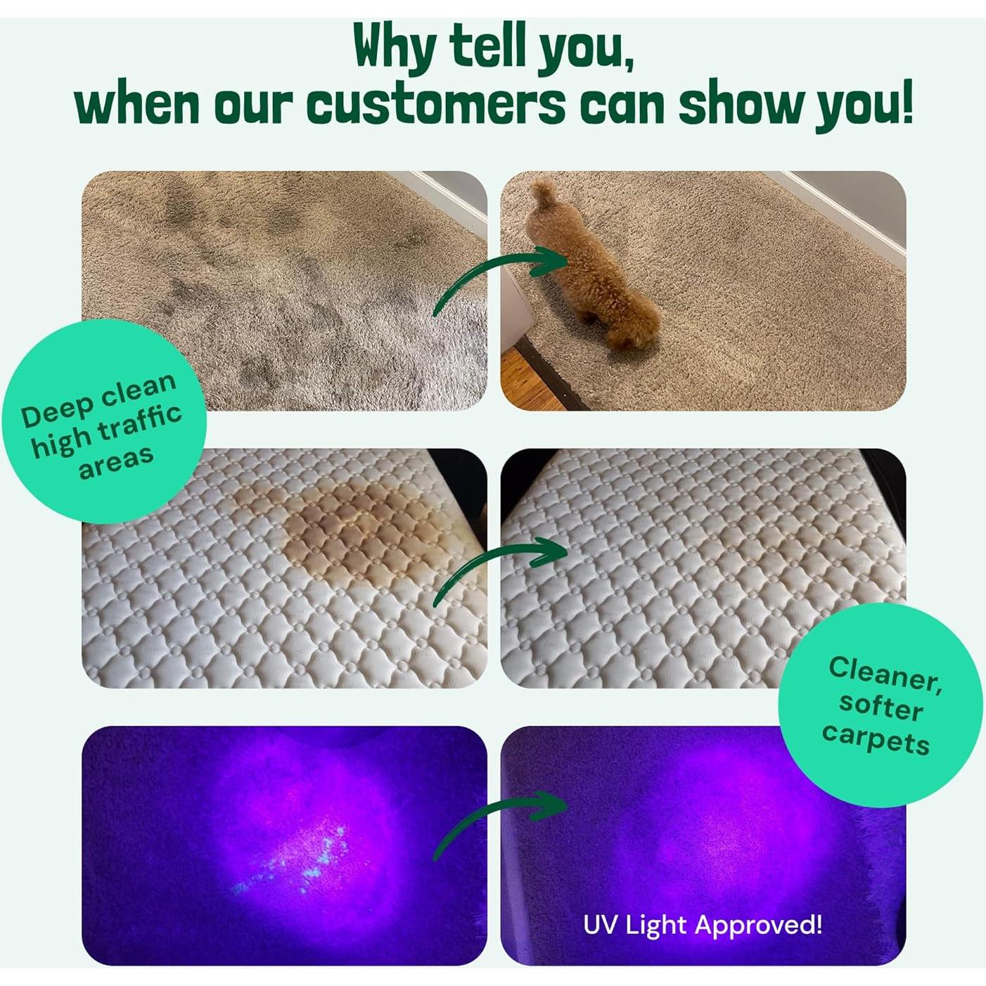 Limpiador de Alfombras Sunny & Honey 32 Oz Menta Primaveral