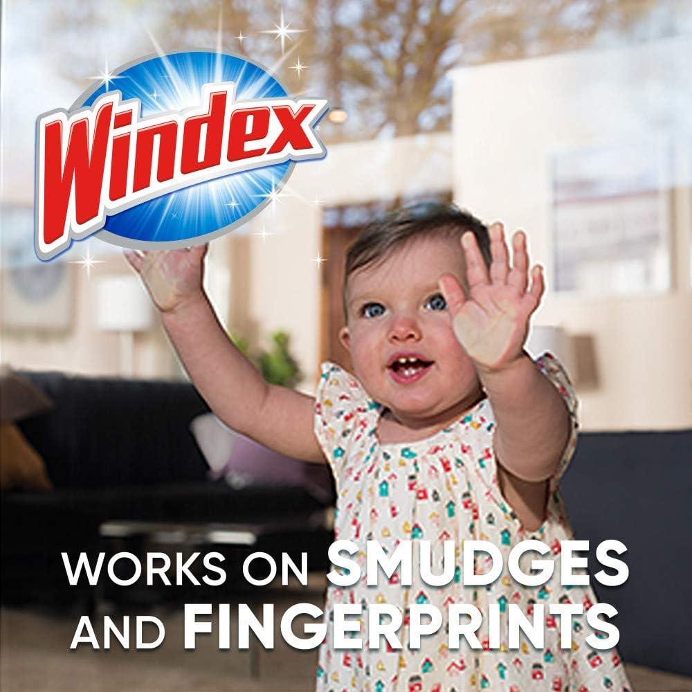 Limpiador de Vidrios Windex Recarga Concentrada 85 ml - 2 Botellas