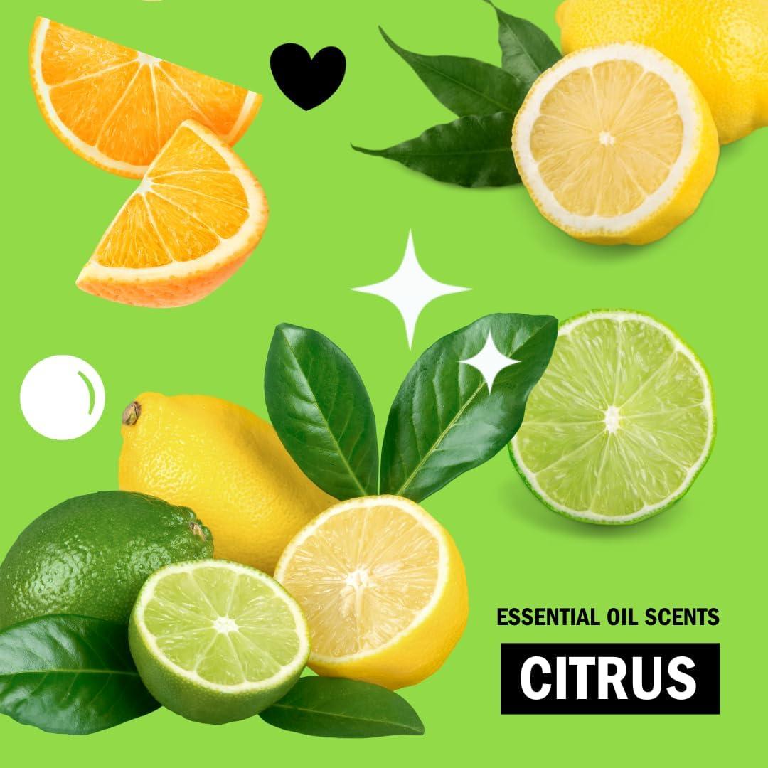 Fregado Multiusos Molly's Suds 2 Paquetes Aroma Cítricos