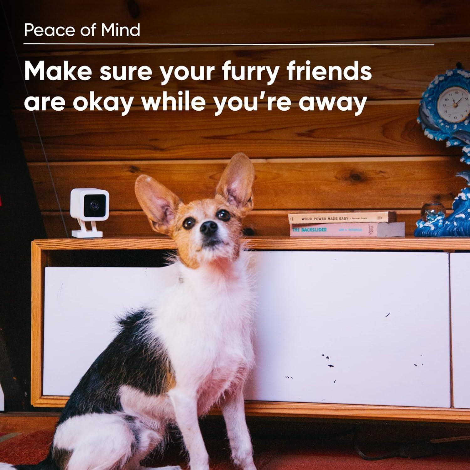 Cámara de Seguridad WyzeCam V3 1080p WiFi con Cam Plus