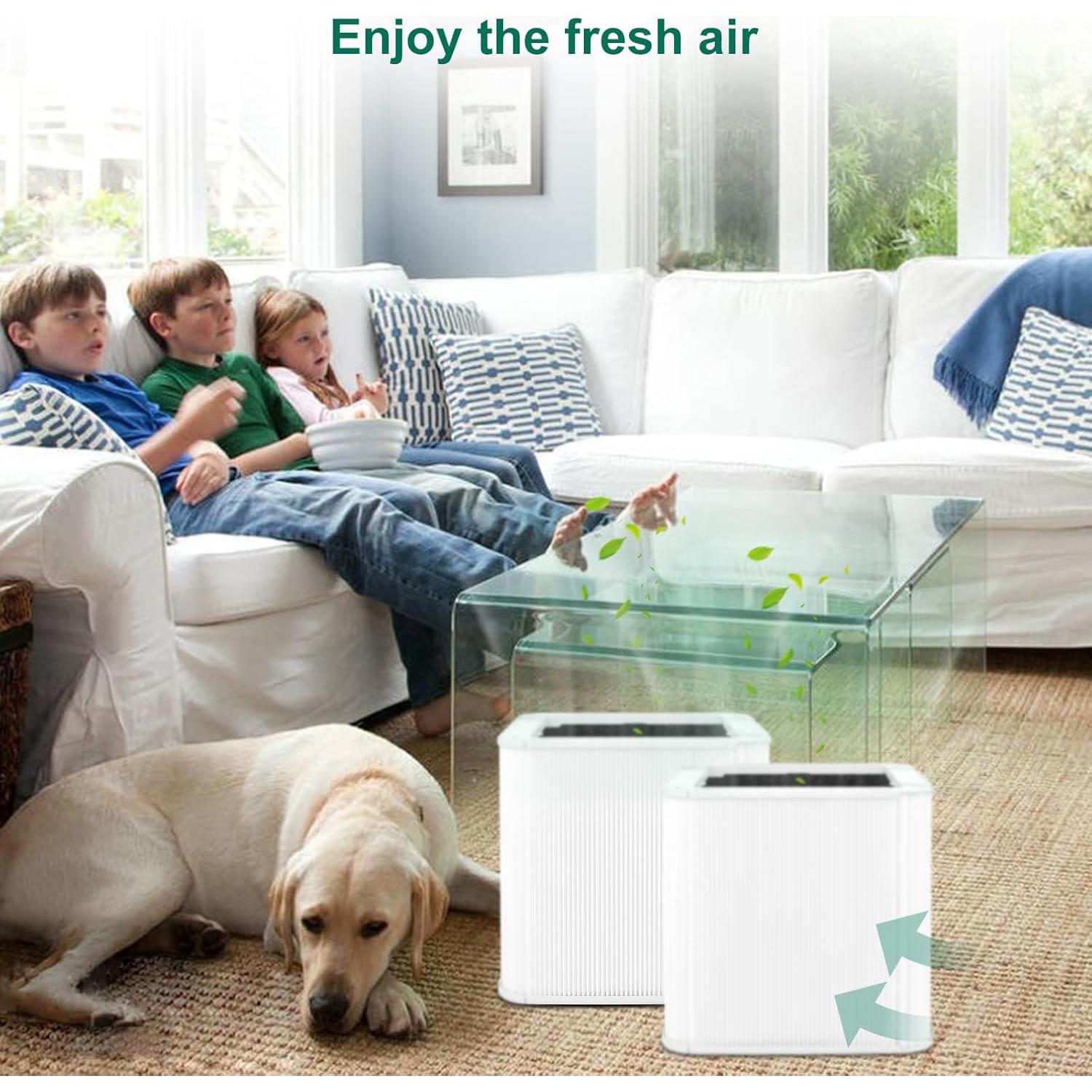 Filtros de Reemplazo 211+ NXBHG con Carbón Activado - Paquete de 2