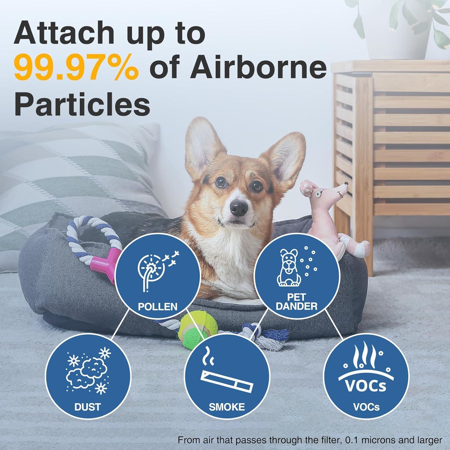 Filtro HEPA HPA300 Cabiclean para purificadores Honeywell - 6 unidades